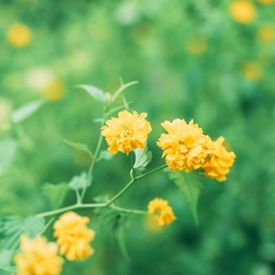 灵魂魔法online手游下载